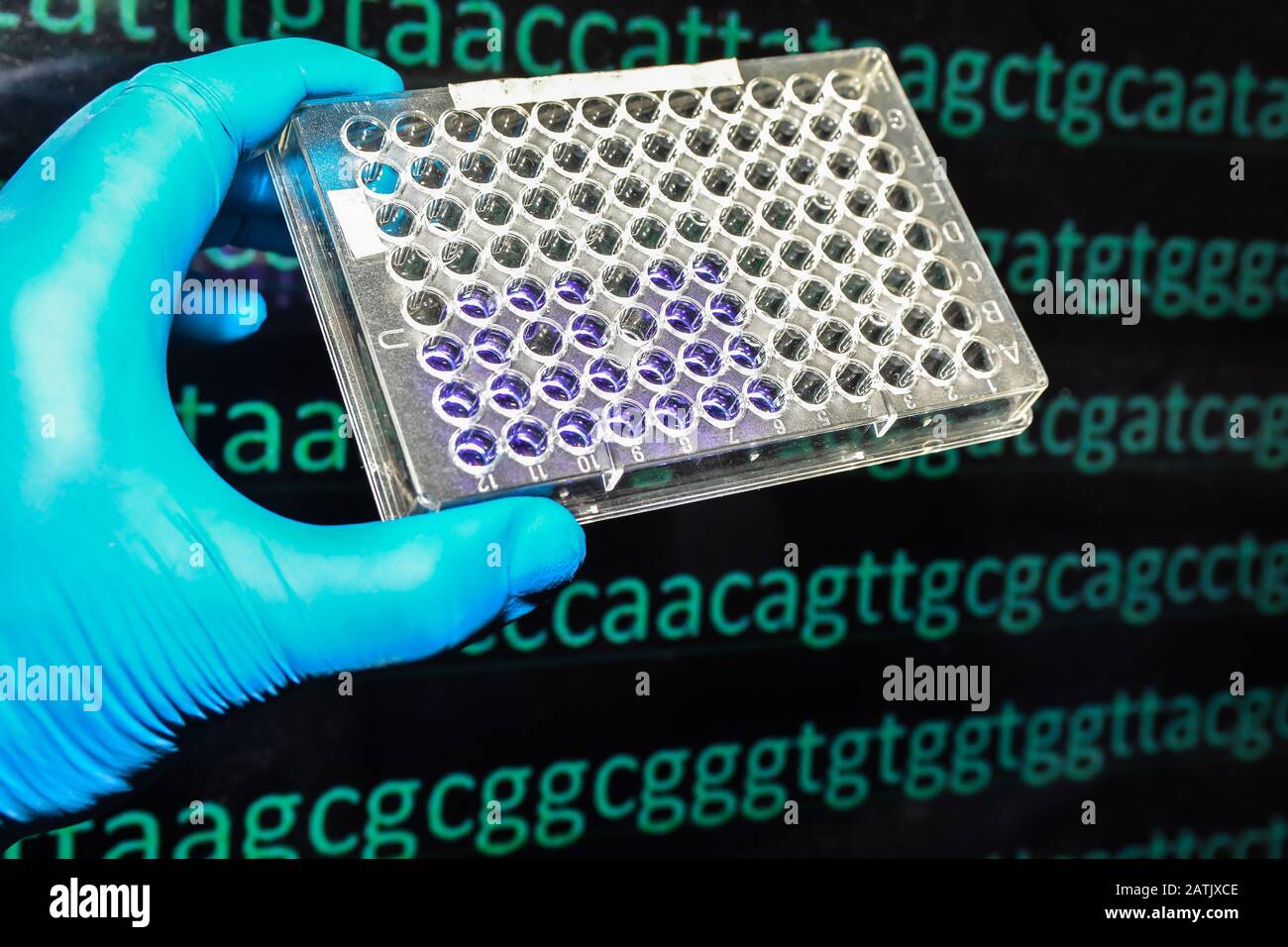 Abstract background, genetic code. Sequence of nucleotide bases in a ...