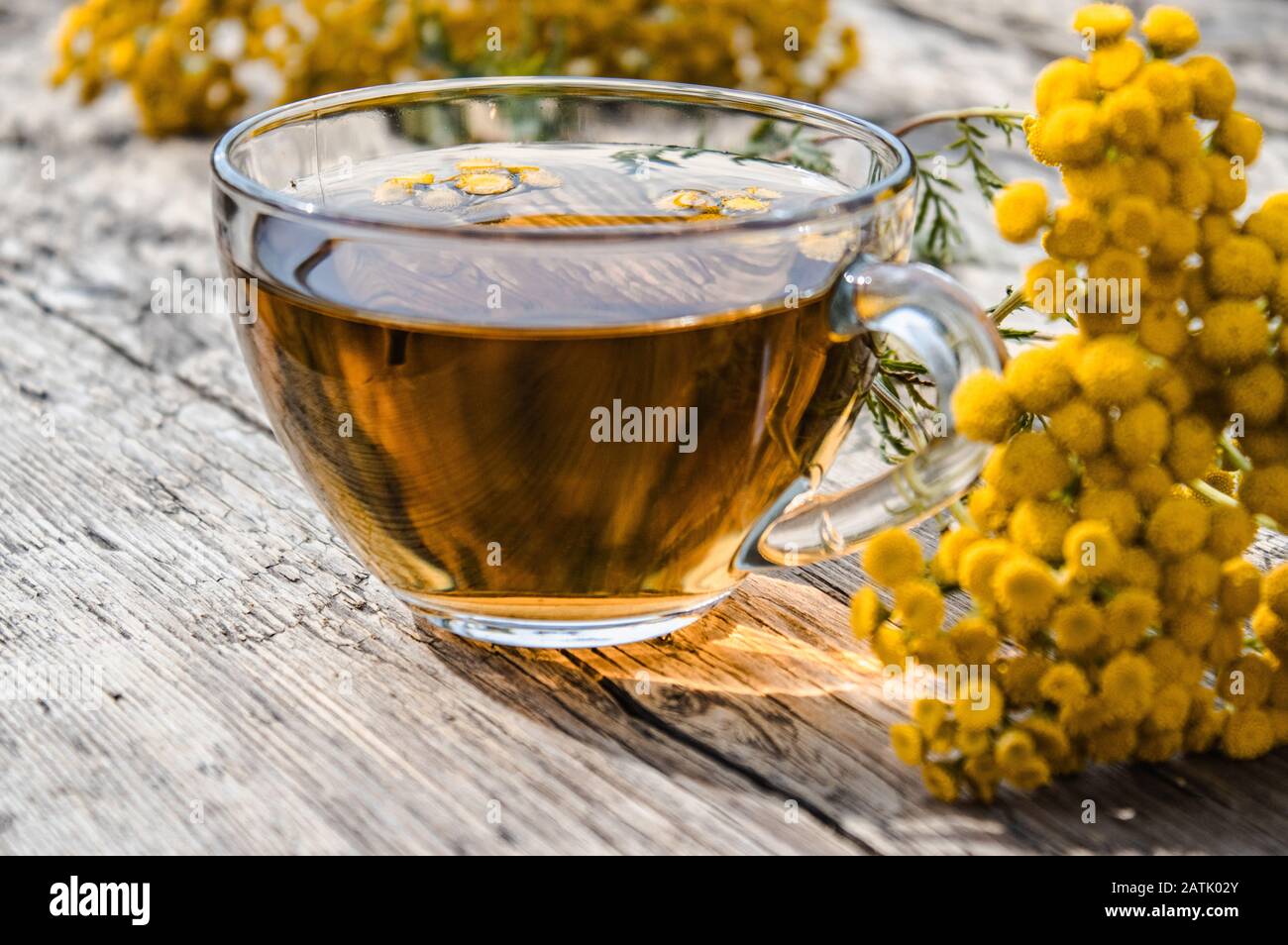 Tancy Tea Cup of tea with tansy and tansy flowers on a wooden table. Healing ...