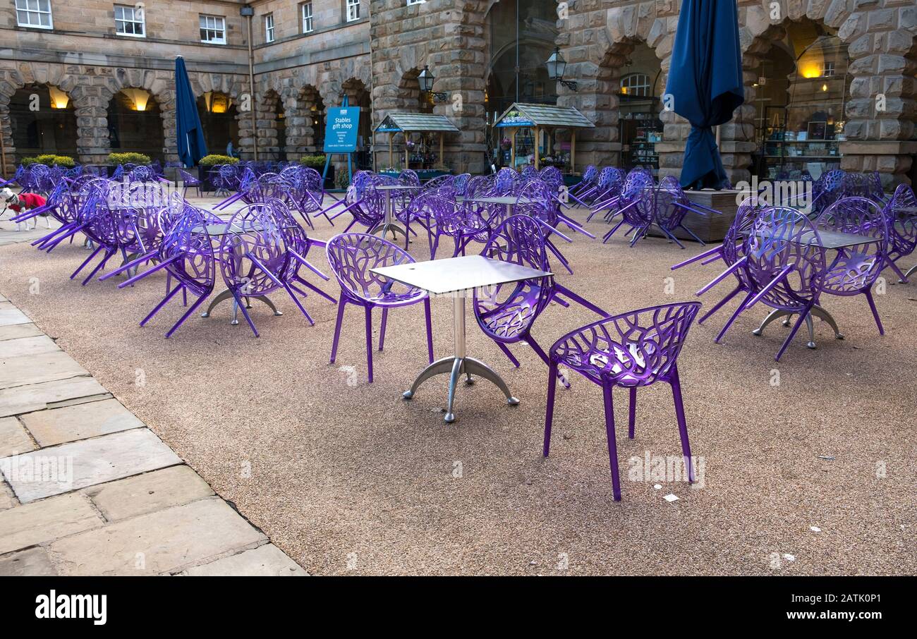 Purple plastic chairs at an outside cafe Stock Photo Alamy