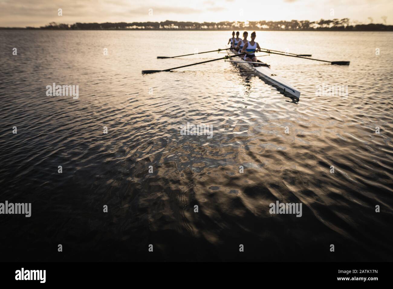 Female rowing team training on a river at the sunset Stock Photo Alamy