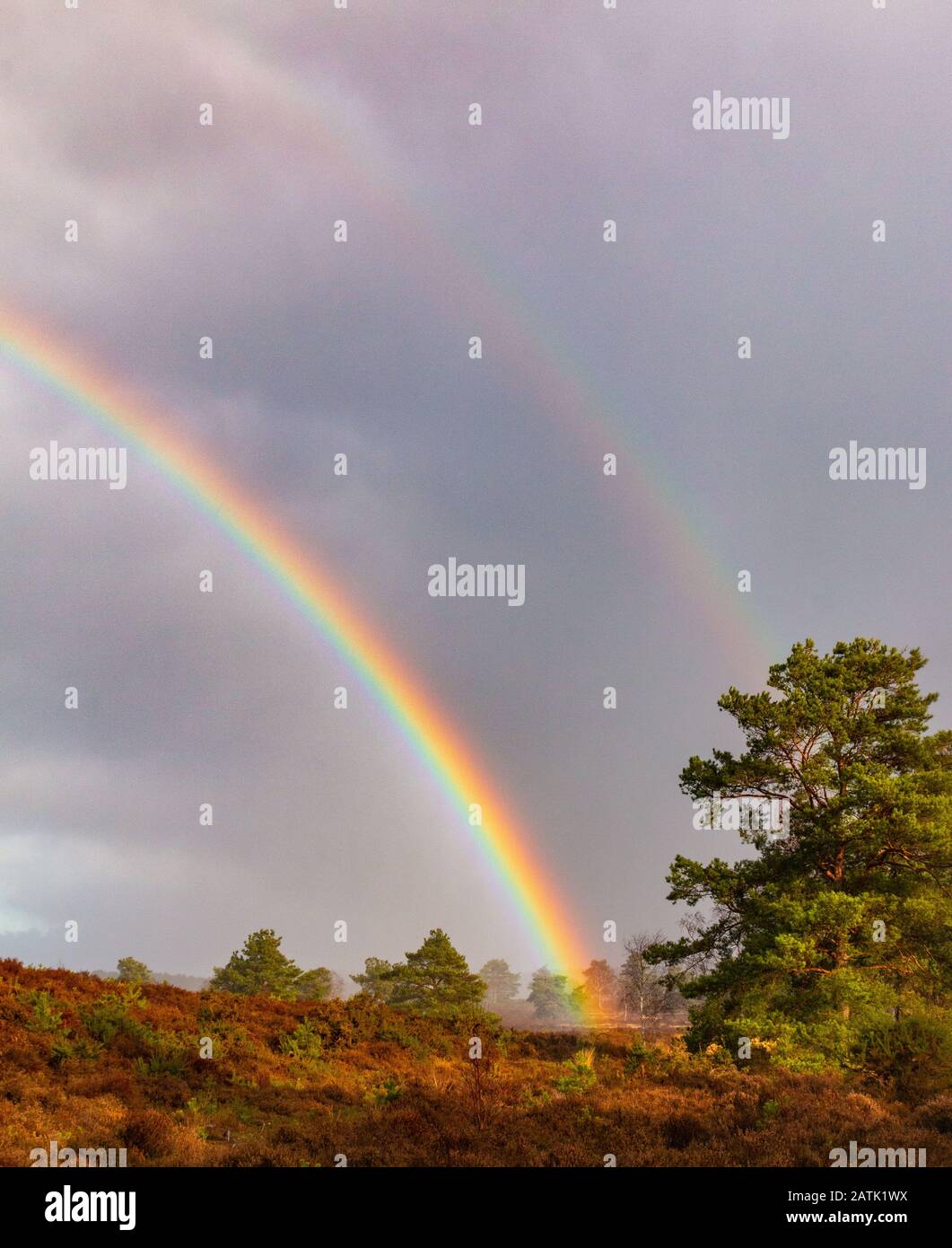 Frensham Common National Trust Farnham Surrey Hills England Stock Photo