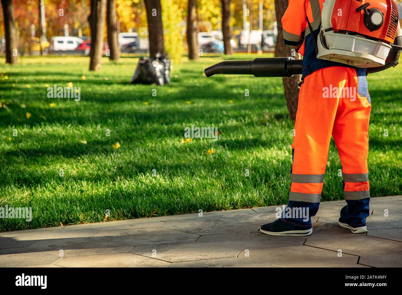 Leaf blower Male worker removes leaves lawn of garden autumn Stock Photo Alamy