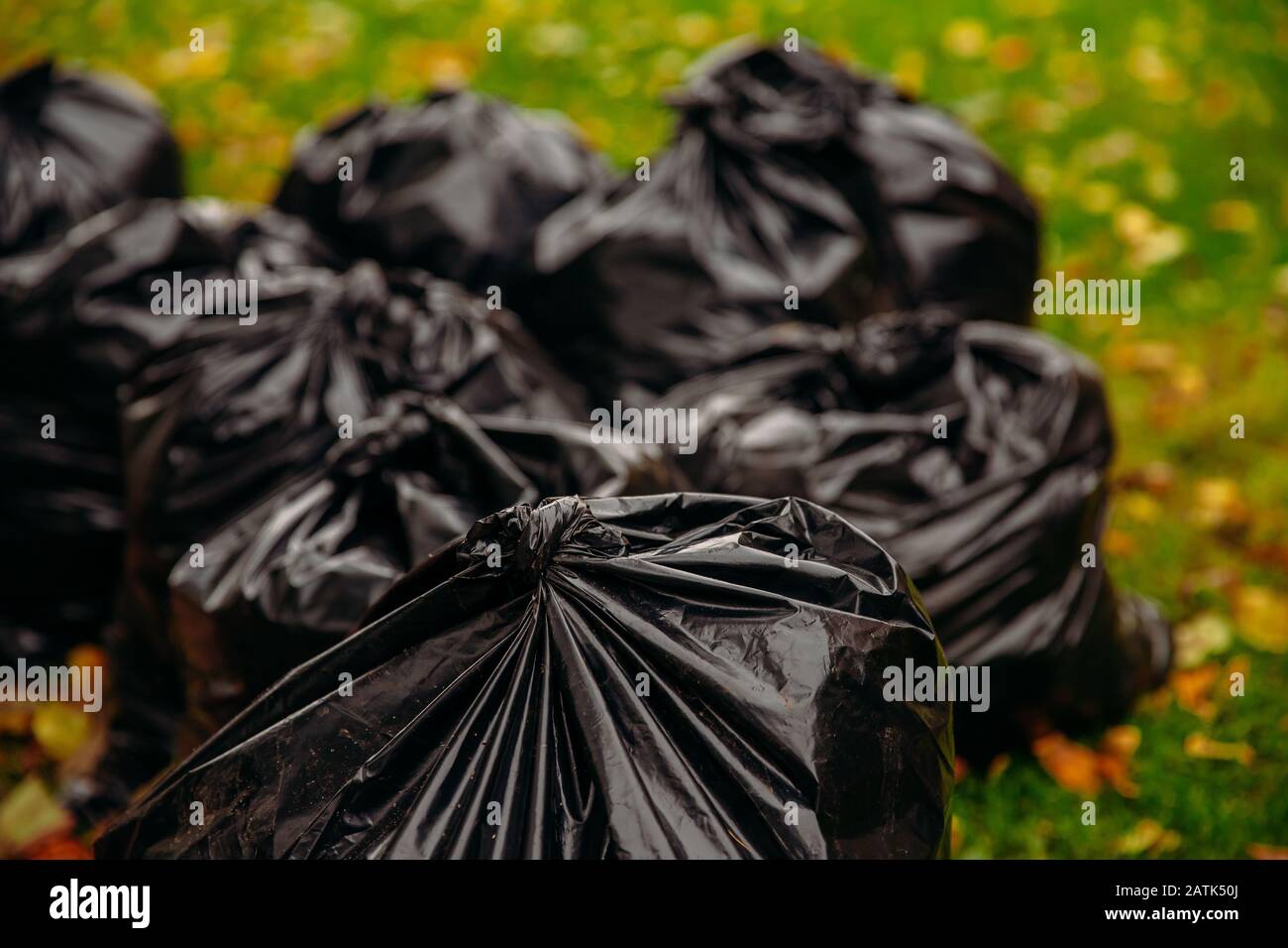 Two biodegradable trash bags full of yellow leaves on green grass Stock