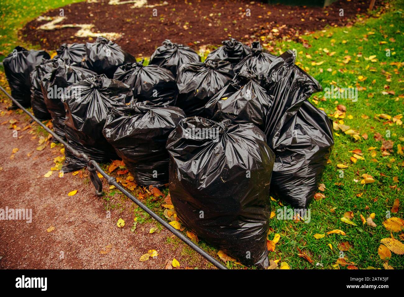https://c8.alamy.com/comp/2ATK5JF/two-biodegradable-trash-bags-full-of-yellow-leaves-on-green-grass-2ATK5JF.jpg