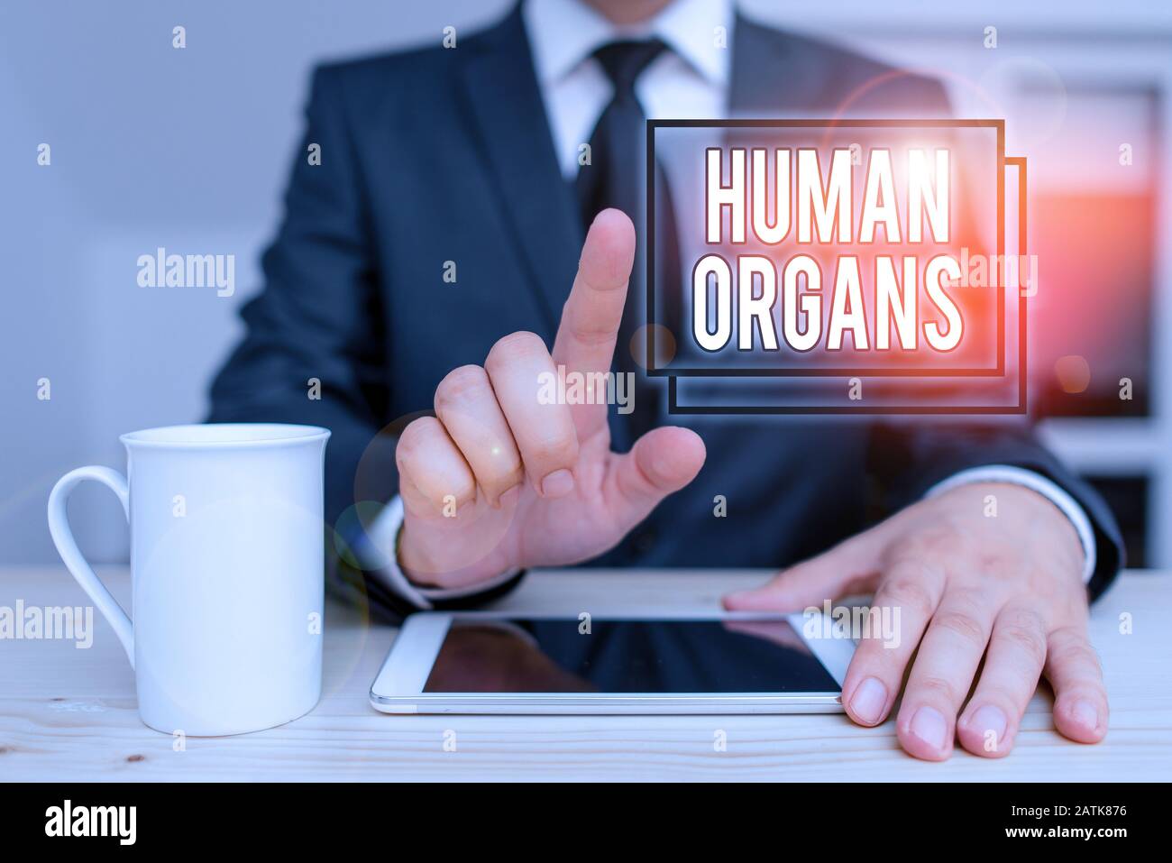 Text sign showing Huanalysis Organs. Business photo text The internal genital structures of the huanalysis body Male human wear formal clothes present Stock Photo