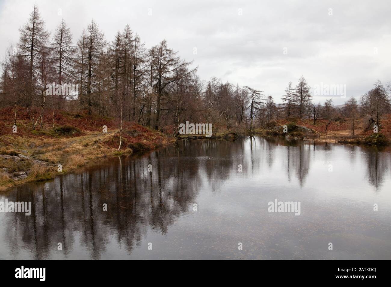 Disused reservoir on Holme Fell, Lake District, Cumbria, UK Stock Photo