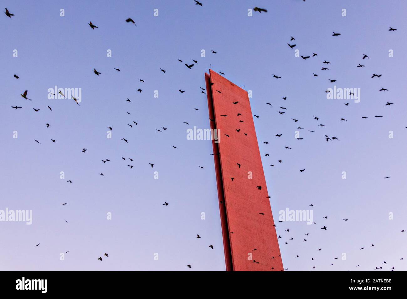 The Lighthouse of Commerce or Faro de Comercio monument is swarmed by flocks of wild parrots at sunset in the Macroplaza square in the Barrio Antiguo neighborhood of Monterrey, Nuevo Leon, Mexico. The modernist monument was designed by Mexican architect Luis Barragan and built to commemoration the100th anniversary of the Monterrey Chamber of Commerce. Stock Photo