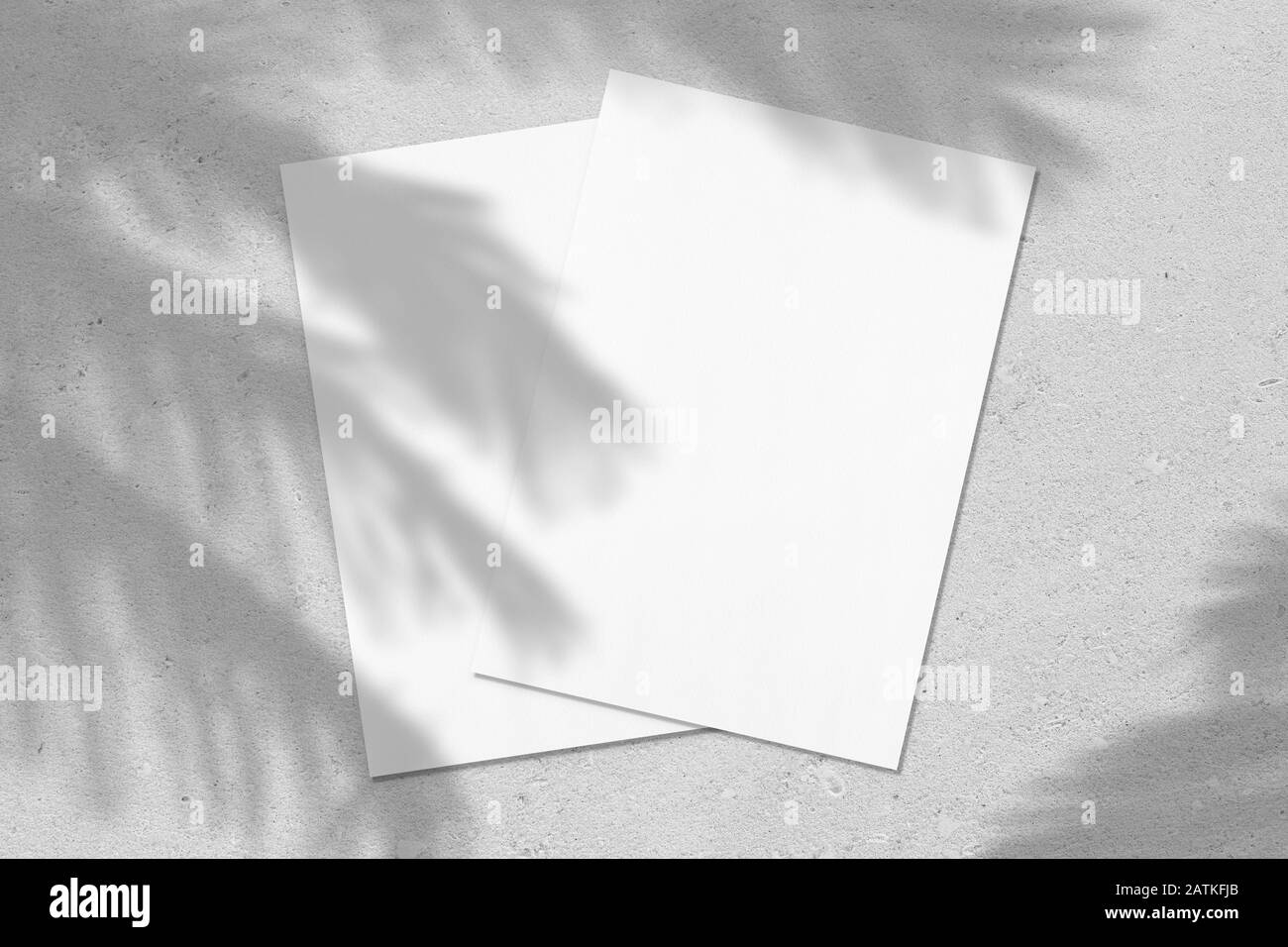 Two empty white vertical rectangle poster or card mockups with palm leaves shadows Stock Photo