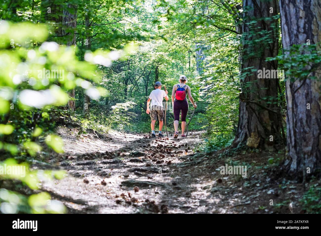 Mother and son go up the path with cones in the pine forest. Crimea. Yalta. Lower Botkin's pathway. Stock Photo
