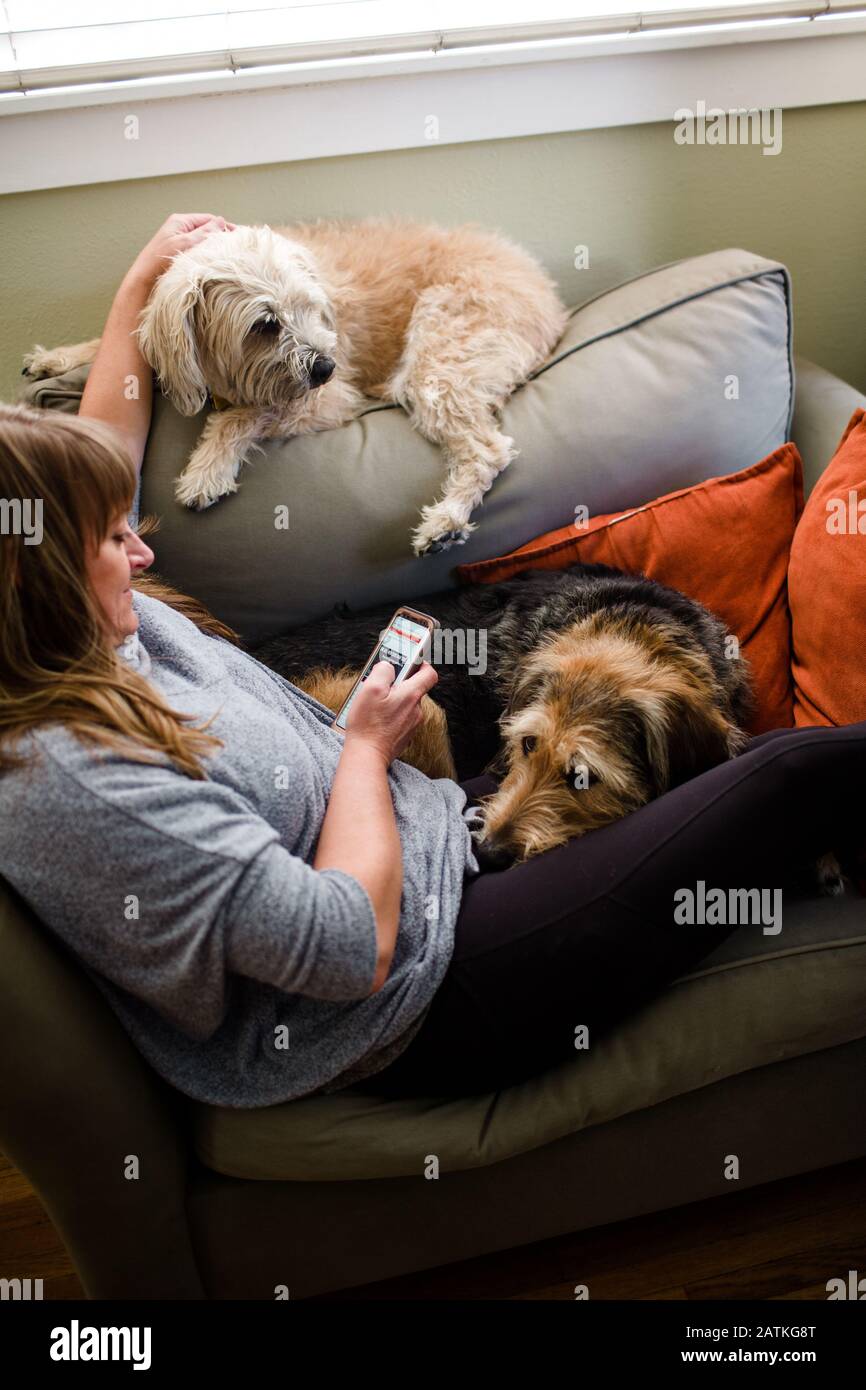 Mid 40's Woman Sitting on Chair with Her Two Large Dogs Stock Photo