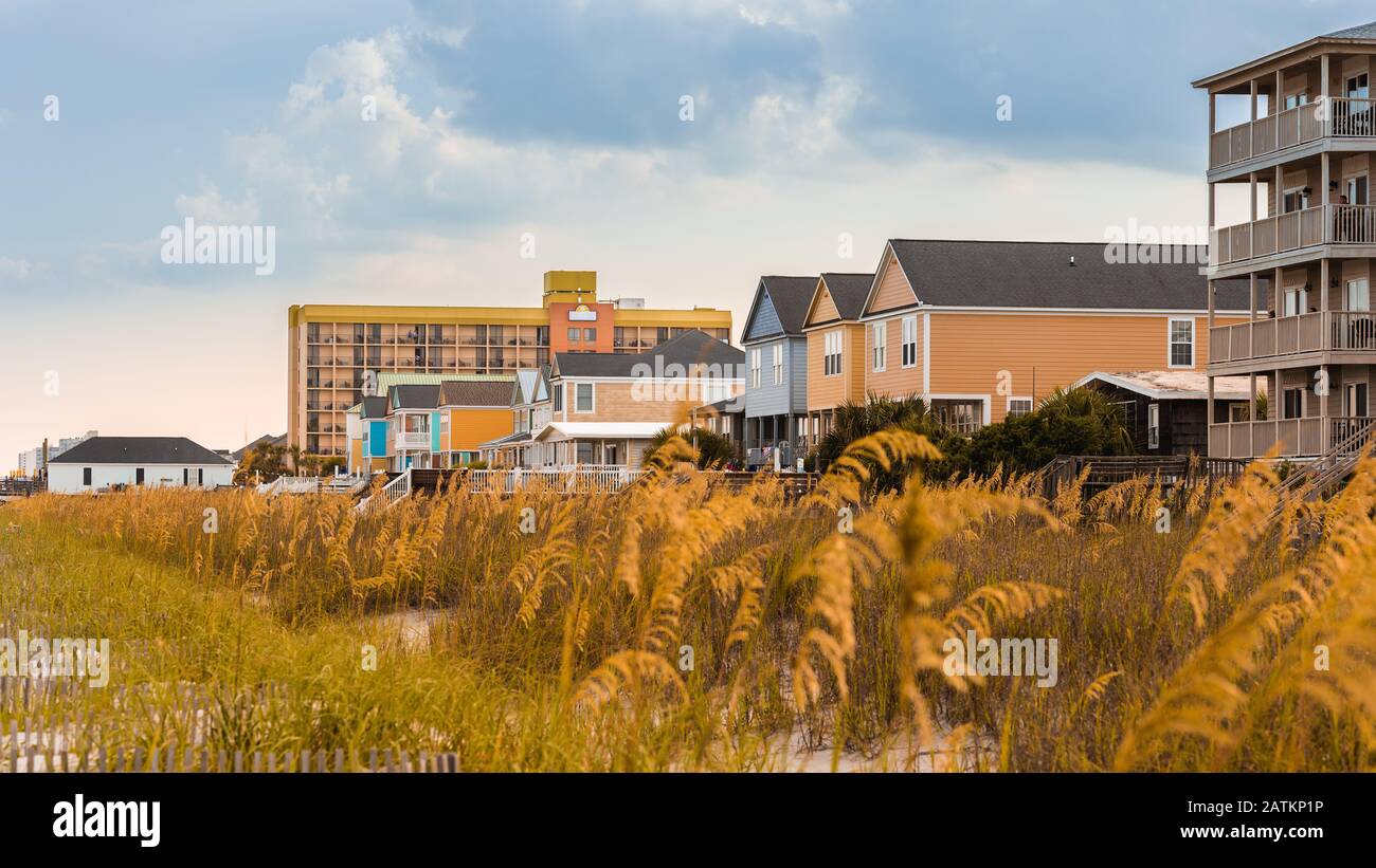 Sea oats and plants by the beach overlooking beach houses during the
