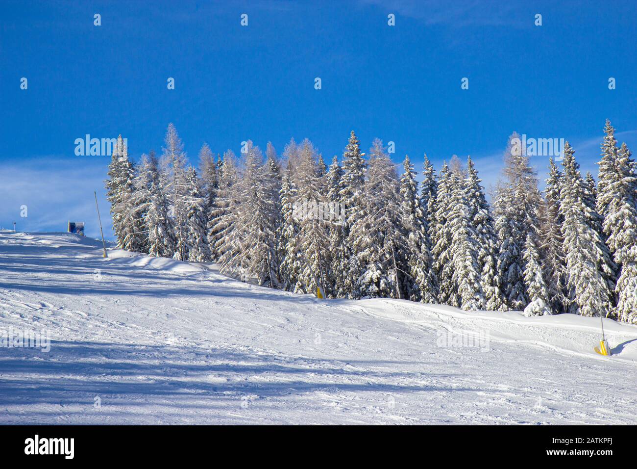 Pine trees covered with snow at austrian ski resort Stock Photo - Alamy