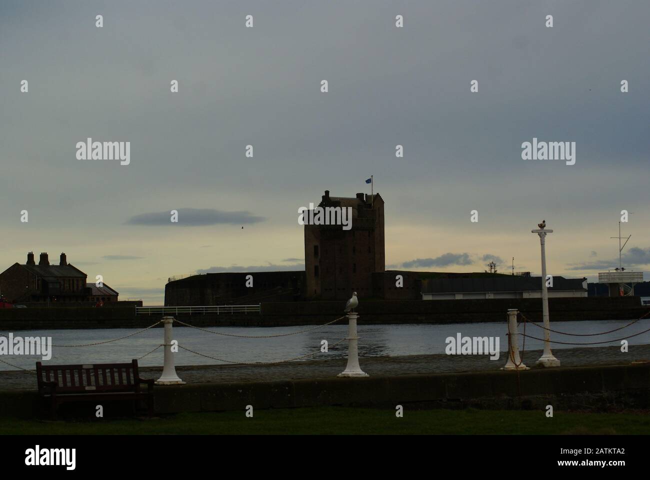 Long Shot of Seagull with Broughty Castle in Backgrond. Stock Photo