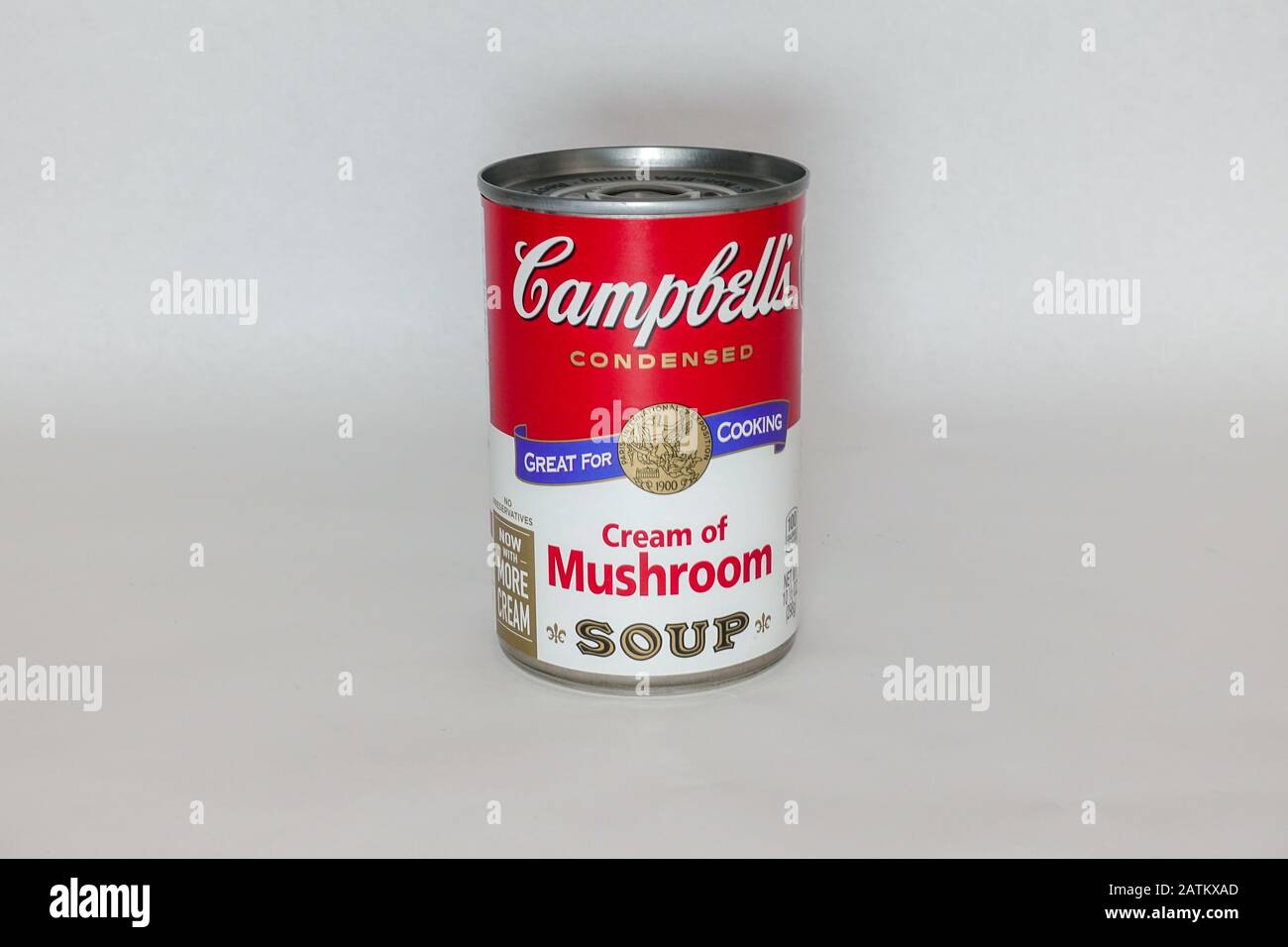 can dogs have cream of mushroom soup