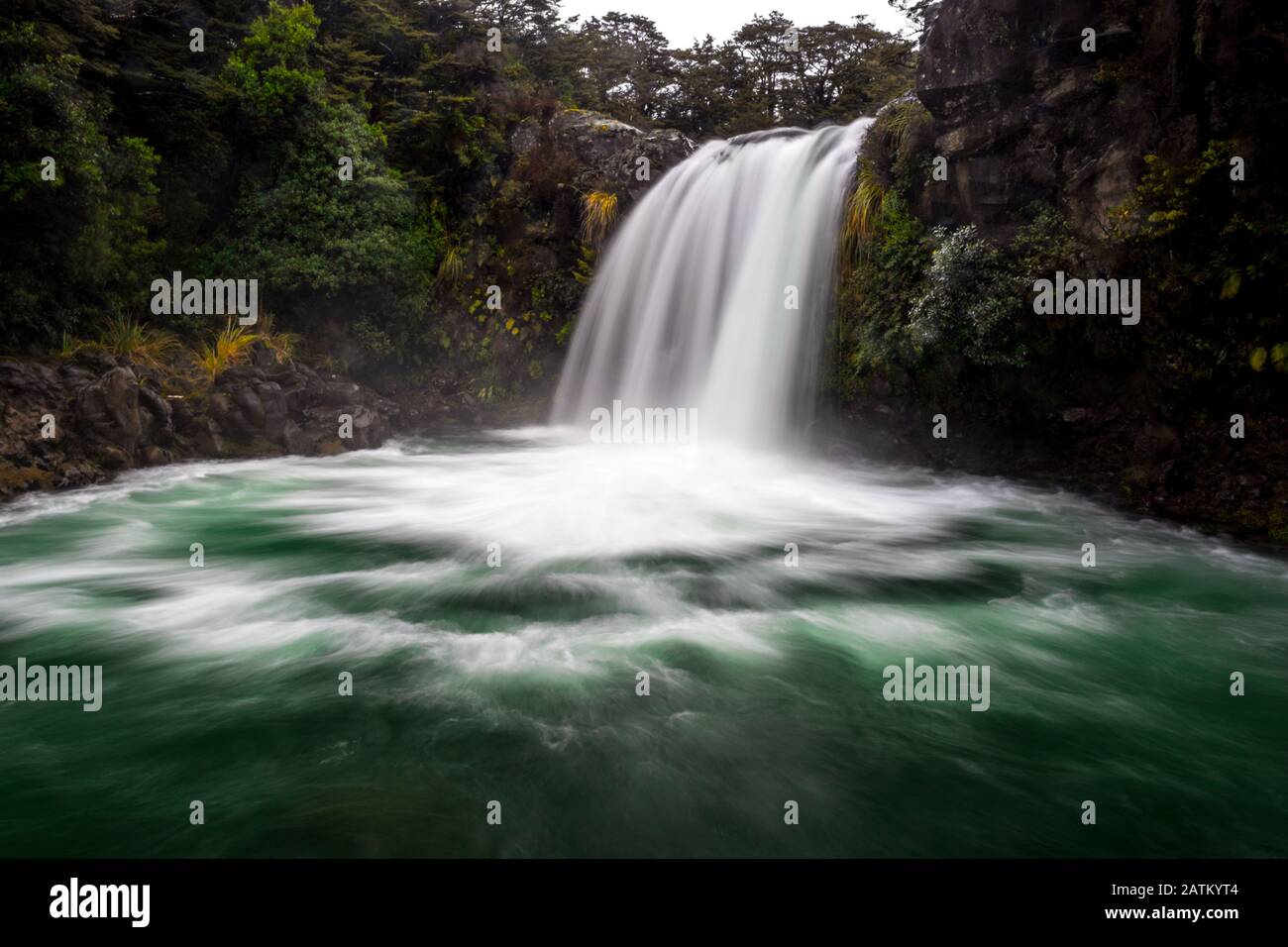 View on beautiful powerful waterfall where Lord of The Rings scene with Golum took place. Native flora surrounds scene. Tongariro National Park, New Z Stock Photo