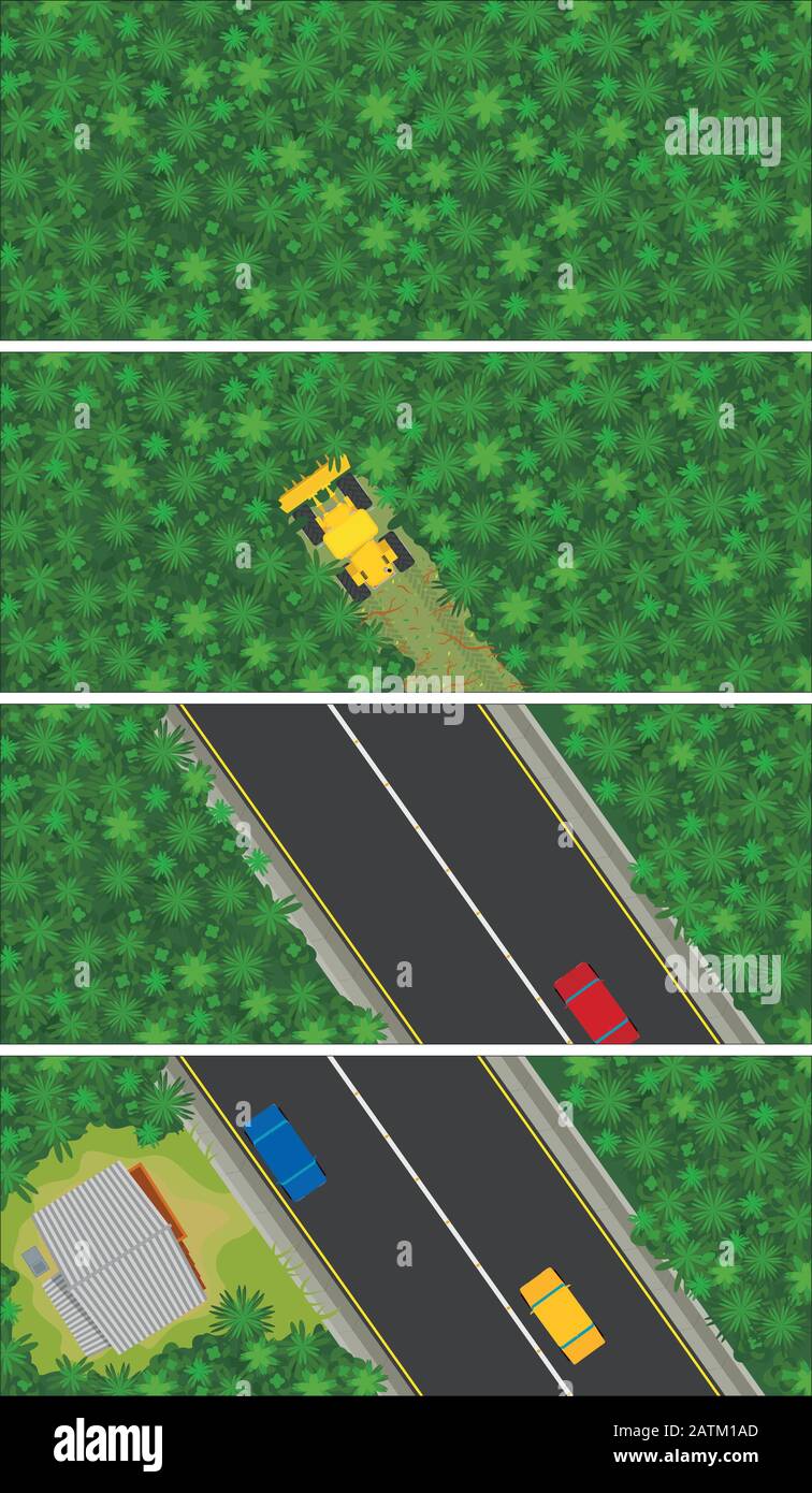 Top view graph shows in 4 steps how a forest is deforested to build a road and begins to populate. Vector image Stock Vector