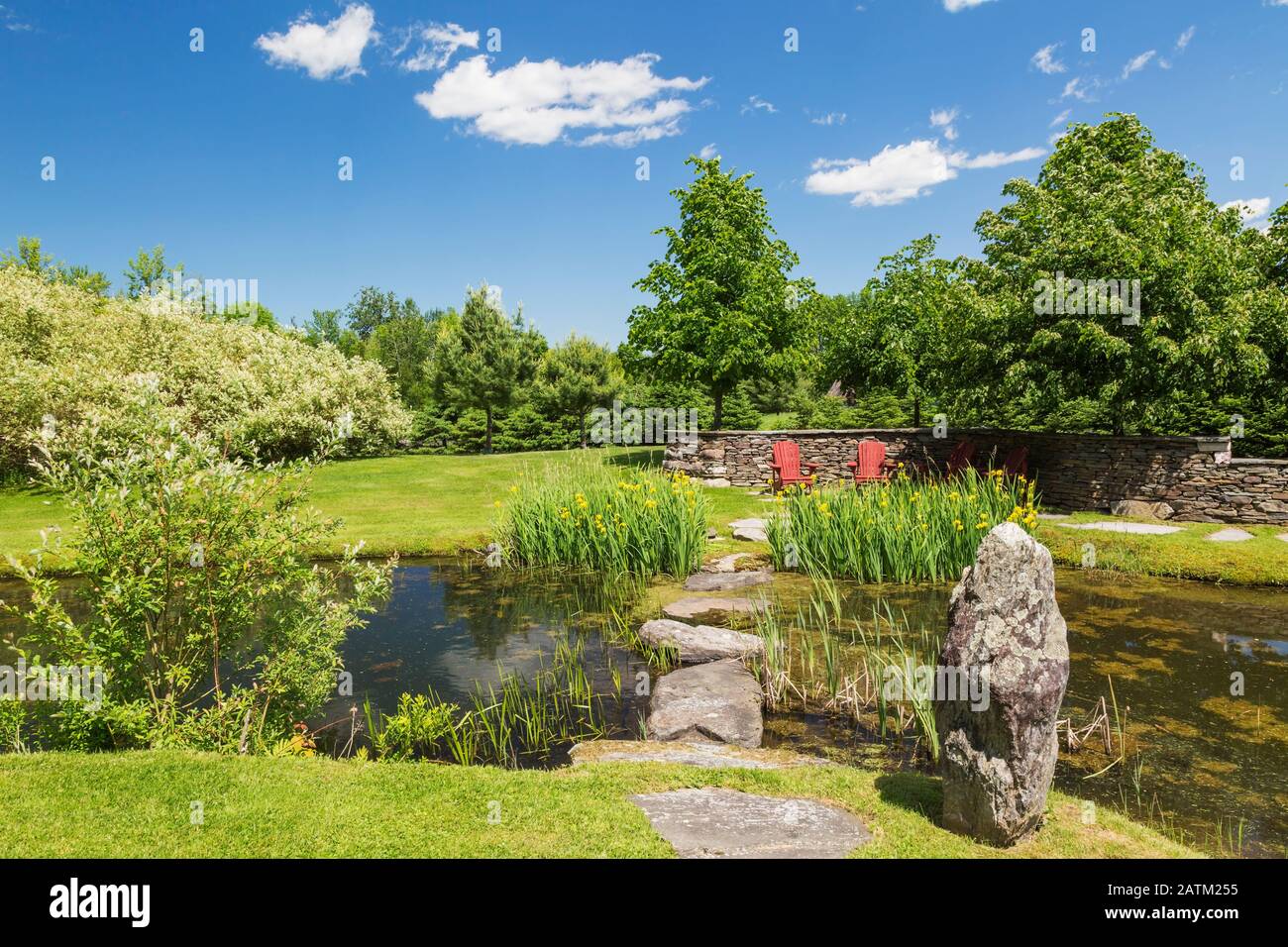 Flagstone foot path leading to pond planted with Typha latifolia - Cattail, yellow Iris pseudacorus 'Variegata' flowers and bordered by Salix - Willow Stock Photo