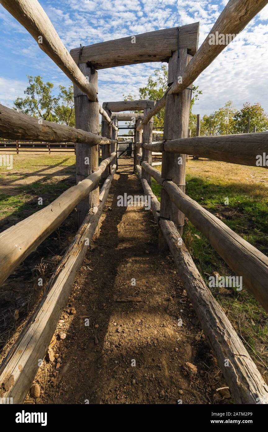 A view down the empty shute on an old heritage listed wooden cattle yards in the Gulf Country of Queensland. Stock Photo