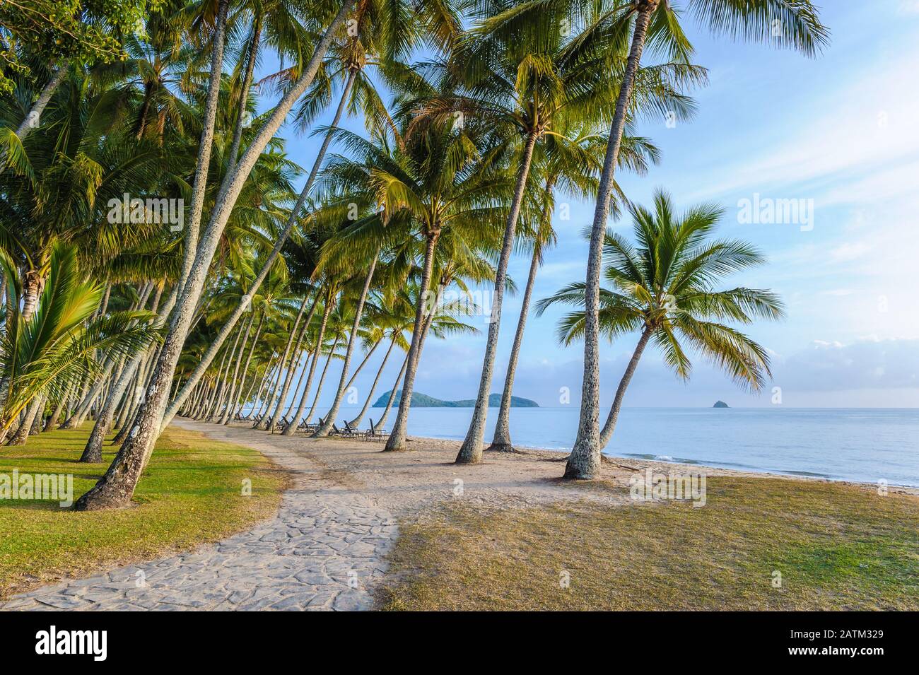 Female jogger on pathway leading through a forest of coconut palm trees with tropical islands in the pacific ocean at Palm Cove beach in Queensland. Stock Photo