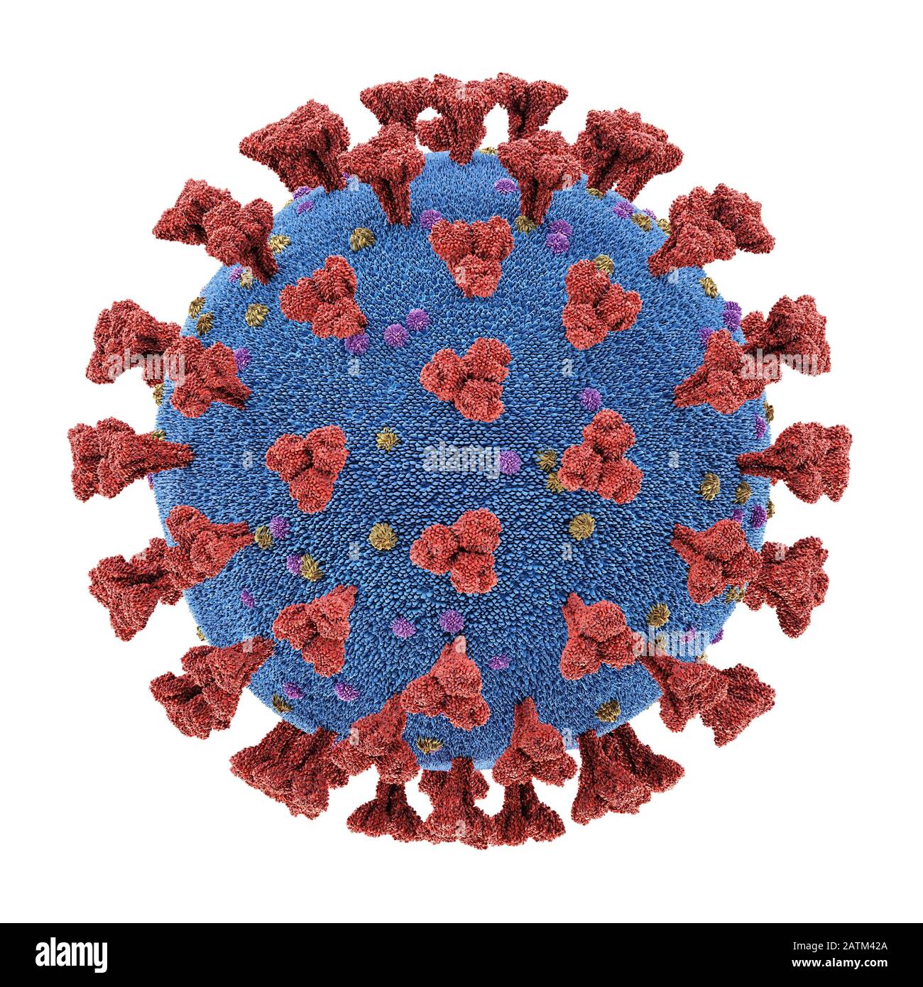 Coronavirus, group of viruses that cause diseases in mammals and birds. In humans, the virus causes respiratory infections. 3D illustration, conceptua Stock Photo