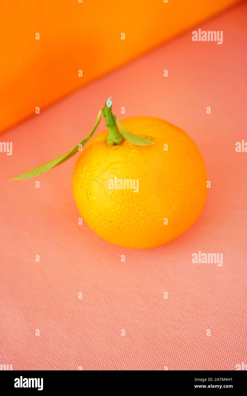 View of an orange calamondin fruit (citrus mitis) Stock Photo