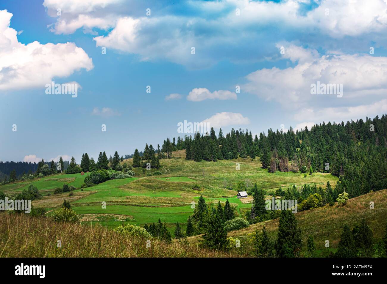 paddy field, terraced fields, grasslands, family farming, ecoregion, biome Stock Photo