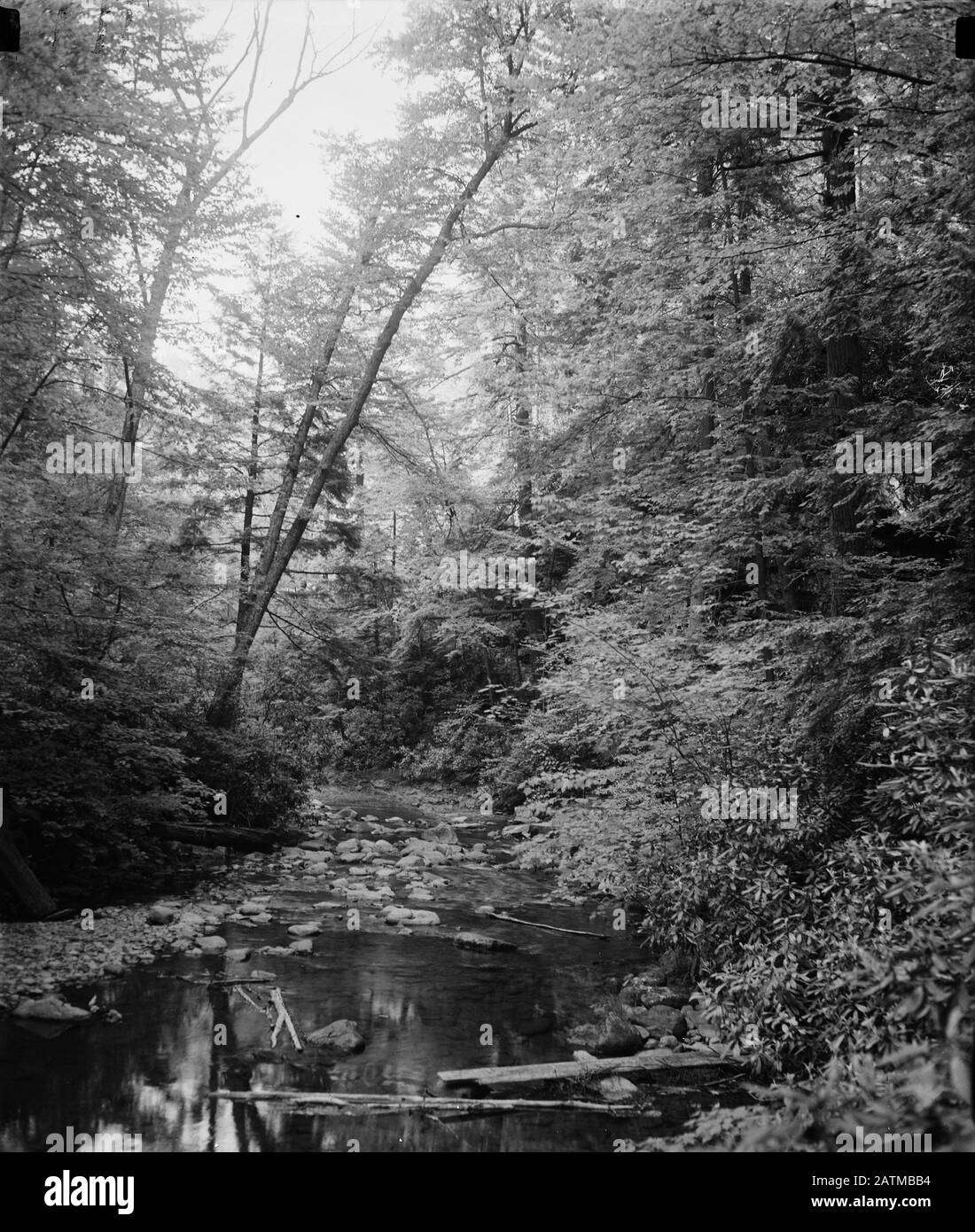Buck Hill Falls, Pennsylvania, July 1936 Stock Photo Alamy