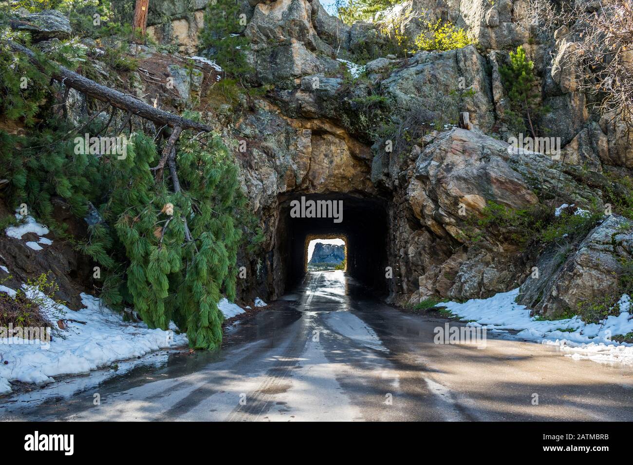 Doane Robinson Tunnel in Black Hills National Forest, South Dakota Stock Photo Alamy