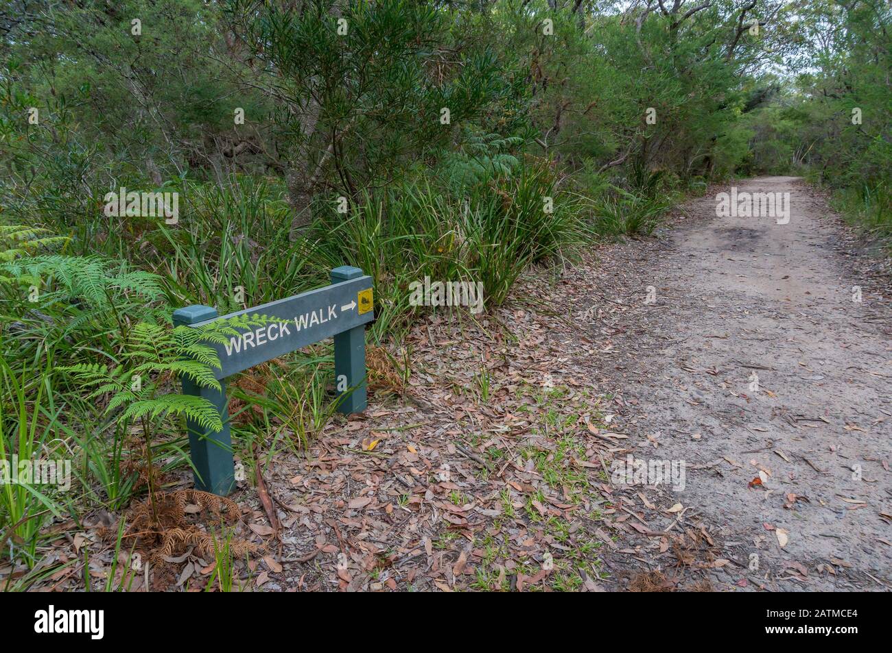 Wreck walk direction sign and hiking trail, path among the forest