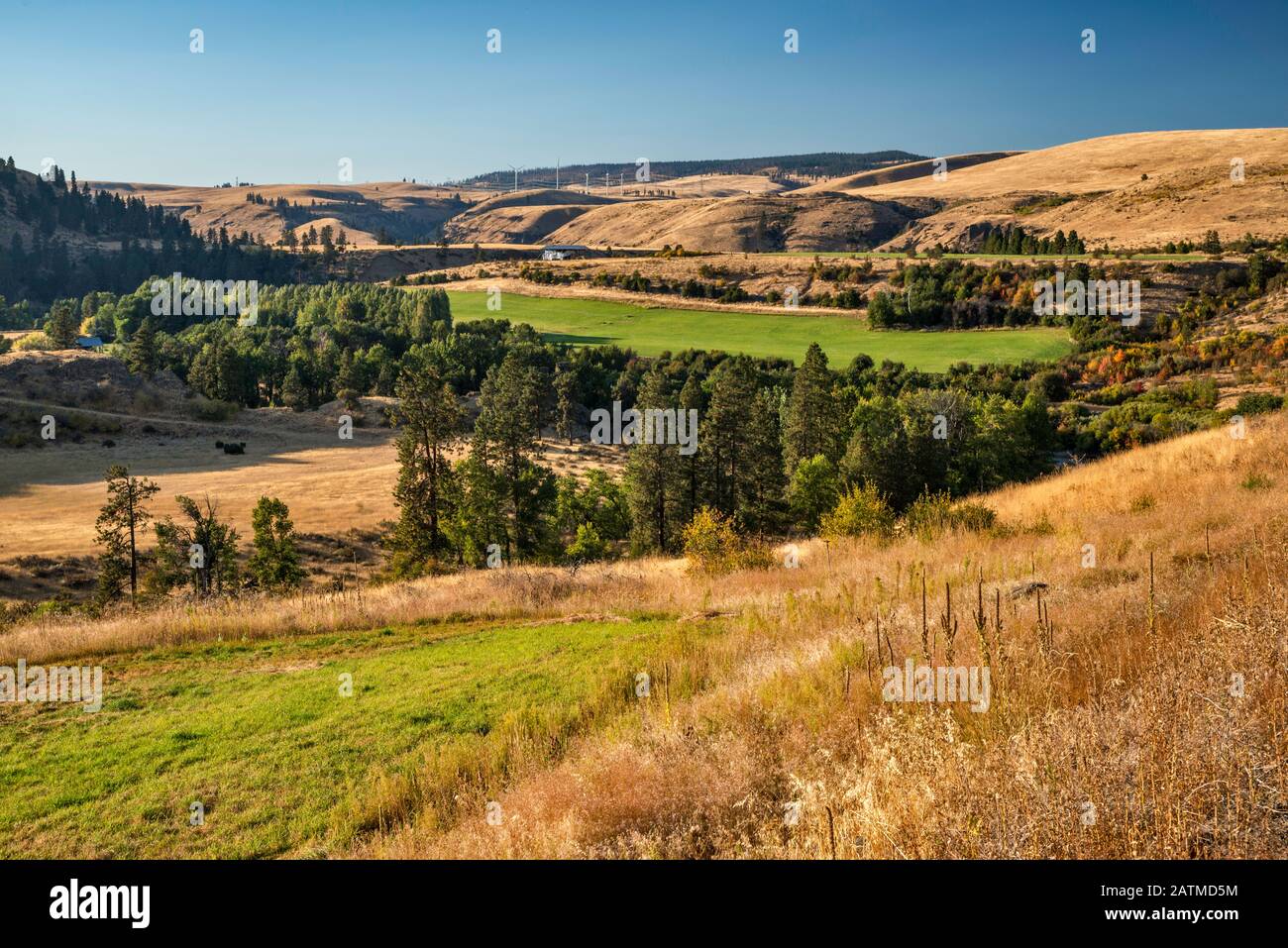 Yakima River Canyon, Columbia Plateau, near Yakima, Washington state