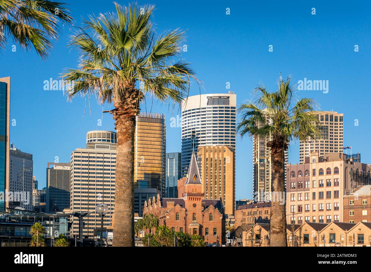 Palm trees modern buildings hi-res stock photography and images - Alamy