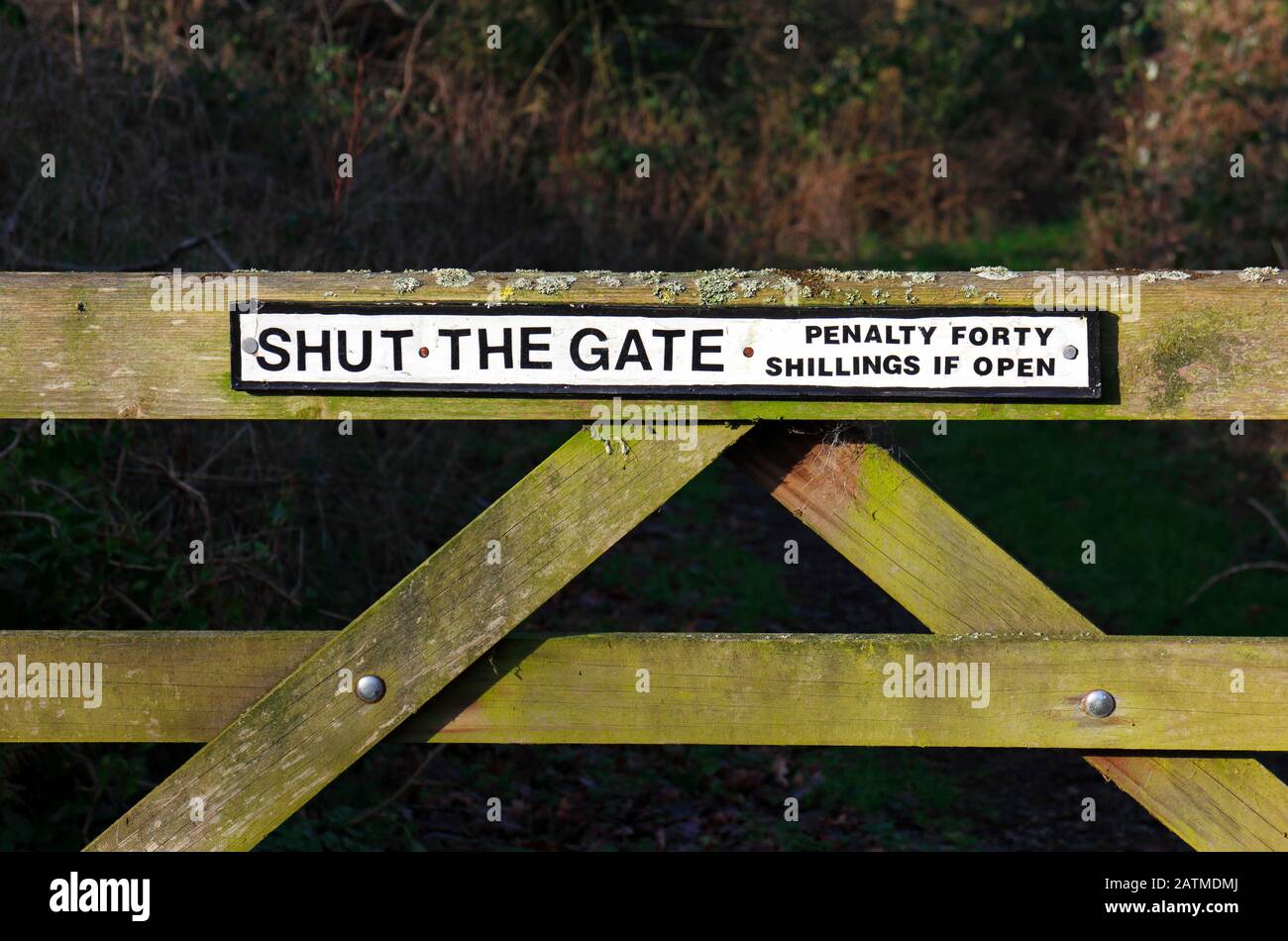 A Shut the Gate with penalty notice sign at the former Midland and Great Northern Joint Railway station at Honing, Norfolk, England, UK, Europe. Stock Photo
