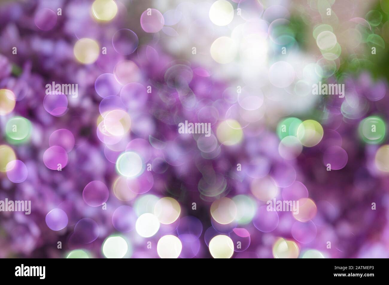 Defocused bokeh background of purple lilac flowers with artistic bokeh  lights. Spring romantic modern floral background Stock Photo - Alamy