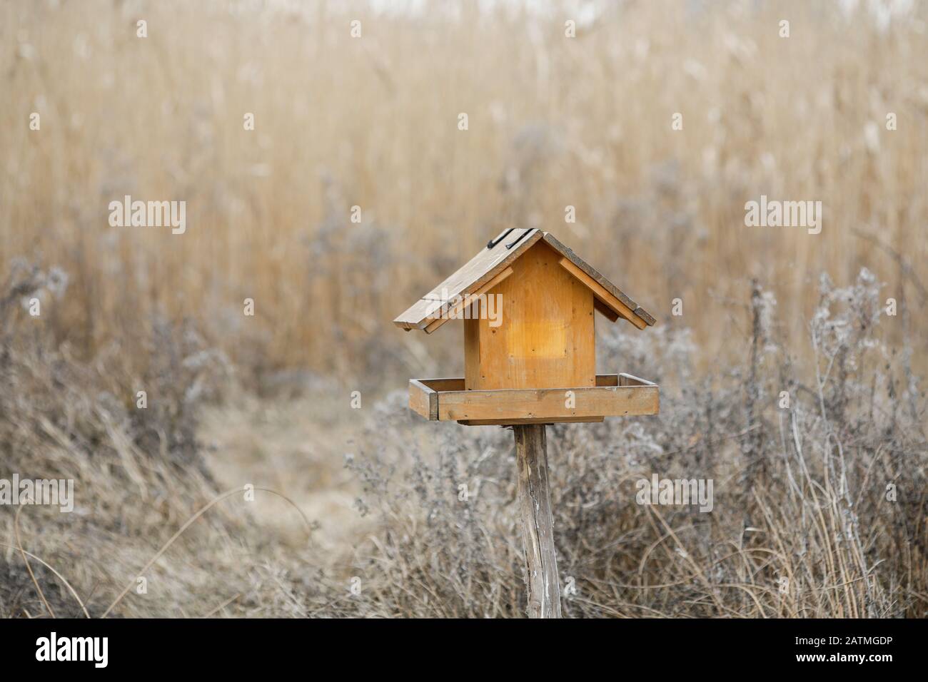 Wooden birdhouse outdoors in a natural park. Stock Photo