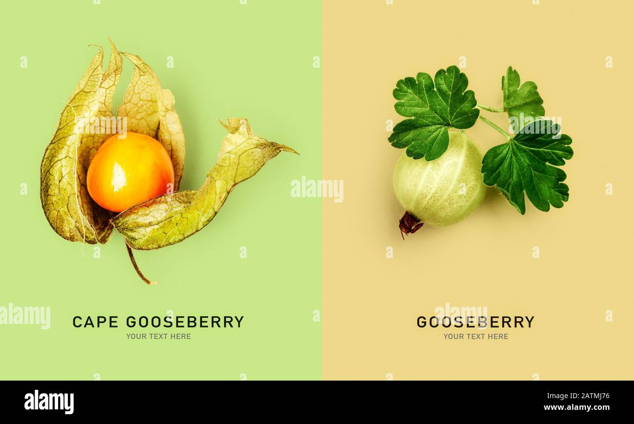 Creative layout with fresh gooseberry and physalis fruit on colorful background. Healthy eating and food concept. Summer and winter fruits and berries Stock Photo