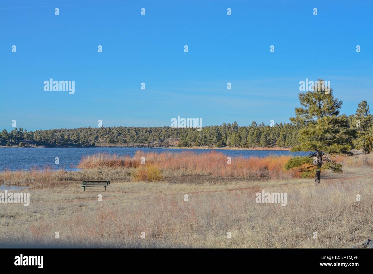 Fool Hollow Lake: A Hidden Gem in Arizona's Desert Landscape