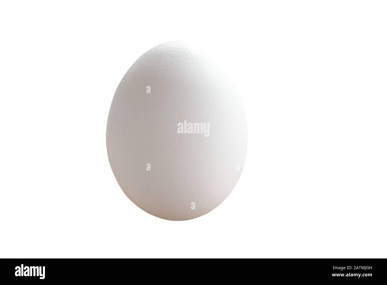 Single white chicken egg isolated on white background cutout Stock ...