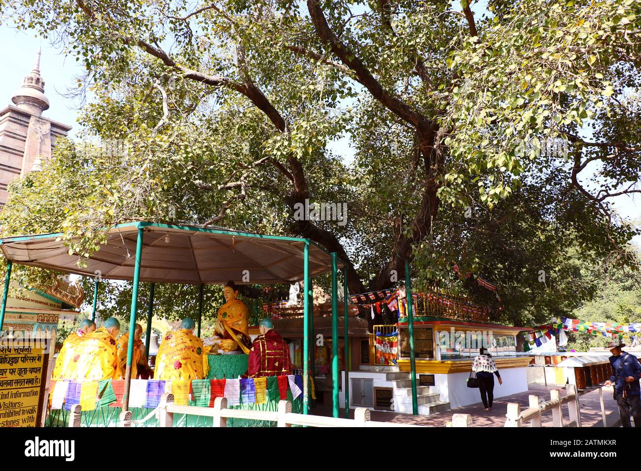 Idols of Buddha and disciples under Sacred Bodhi Tree & complex at Sarnath, where Lord Buddha delivered first sermon after gained Enlightenment about Stock Photo