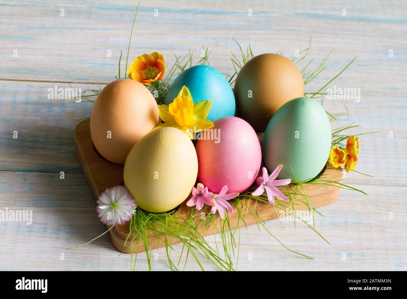 Easter colorful eggs with spring flowers blossom and green grass still ...