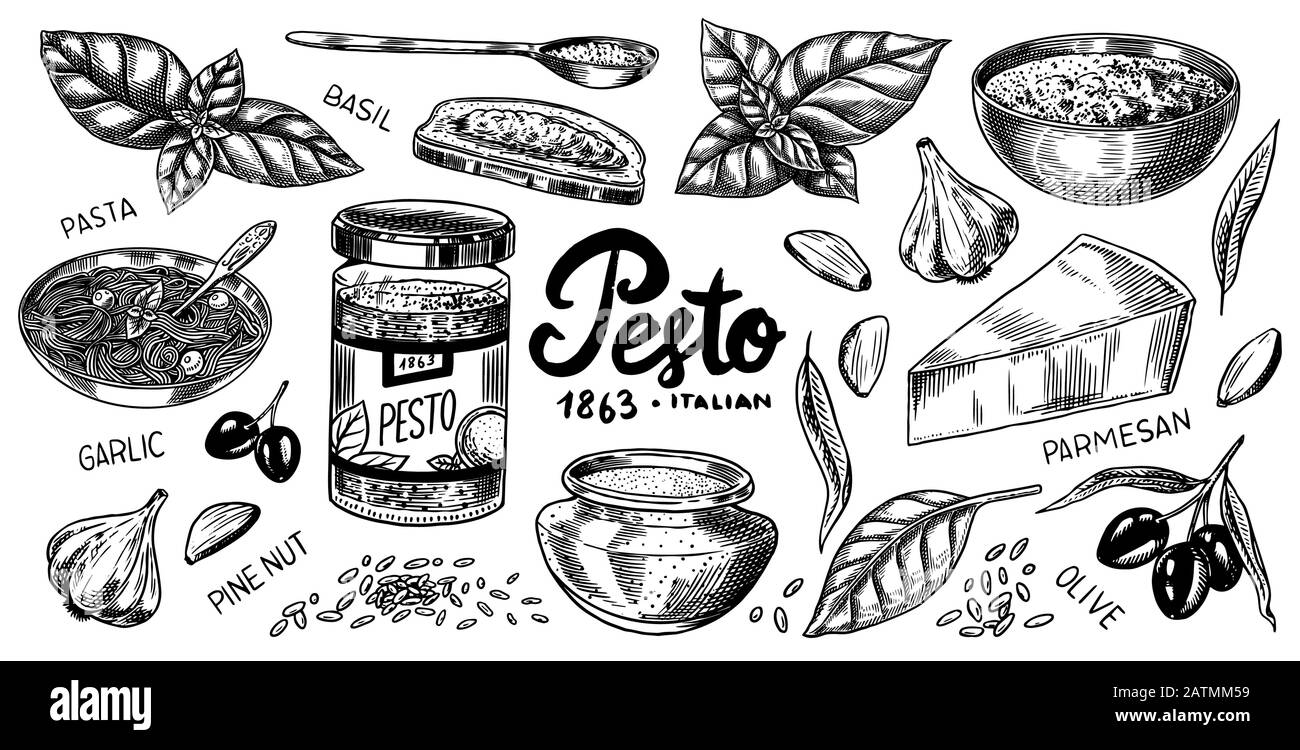 Pesto sauce set. Basil leaves, garlic, pine nuts, hard parmesan cheese, olive oil, pesto alla genovese. Spicy condiment, glass bottle, wooden spoon or Stock Vector