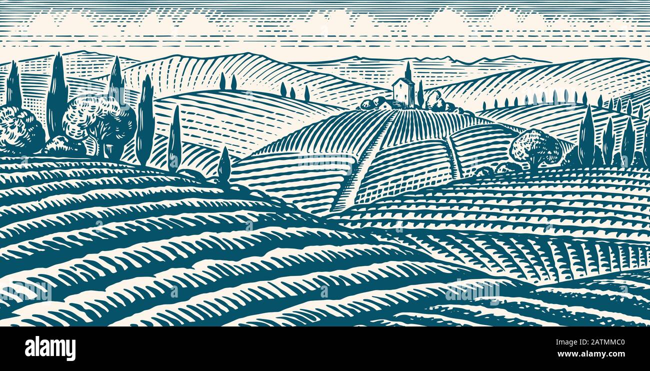 Fields and hills of Tuscany. Scenic view of vineyards. Wide panoramic vine plantation in Chianti. French or Italian engraved landscape. Hand drawn Stock Vector