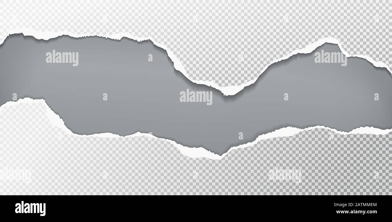 Torn, ripped pieces of horizontal squared paper with soft shadow are on ...