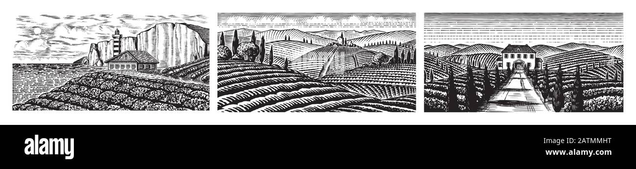 Set of vineyards. Fields and hills of Tuscany. Scenic view. Wide panoramic vine plantation in Chianti. French or Italian engraved landscape. Hand Stock Vector