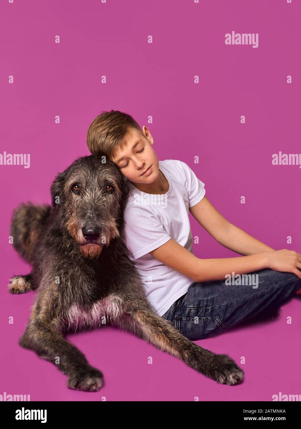 Smiling cheerful eleven years teen in white t-shirt and jeans with grey and white Irish Wolfhounds on fuchsia color background in photo studio Stock Photo