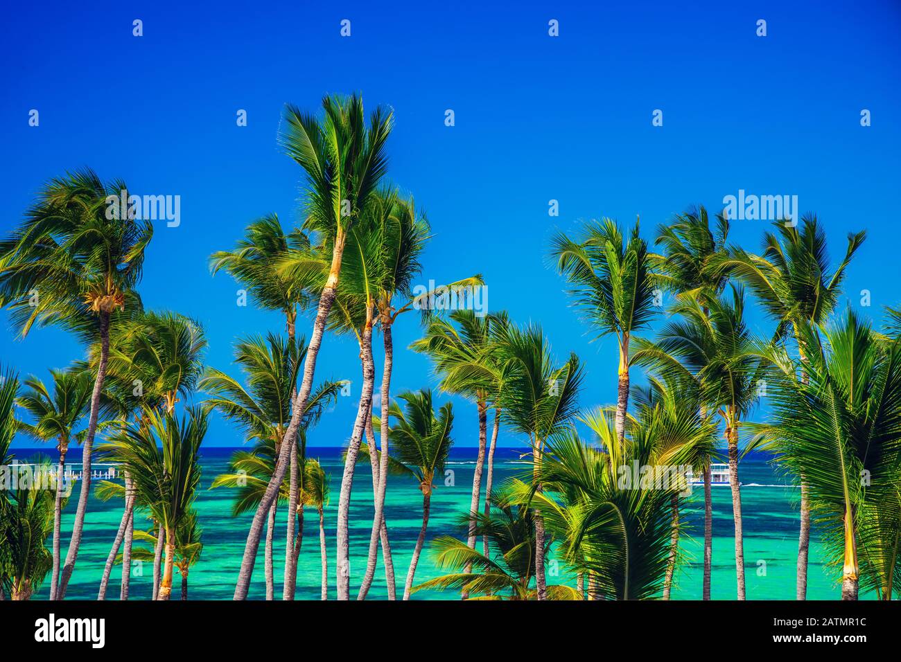Tropical beach in Punta Cana, Dominican Republic Stock Photo - Alamy