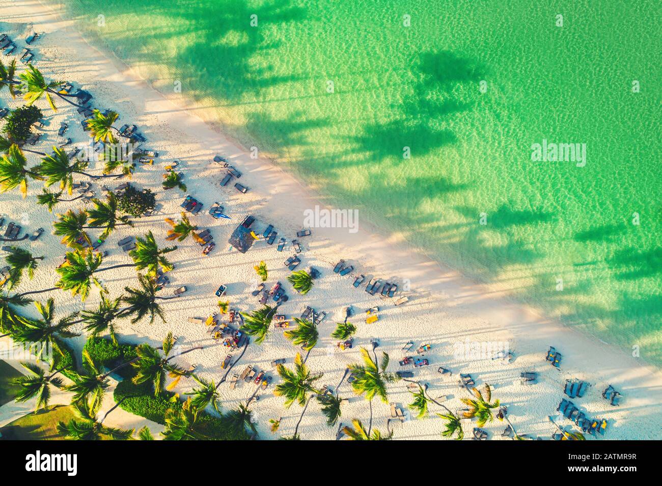 Aerial view of tropical beach with palm trees Stock Photo - Alamy