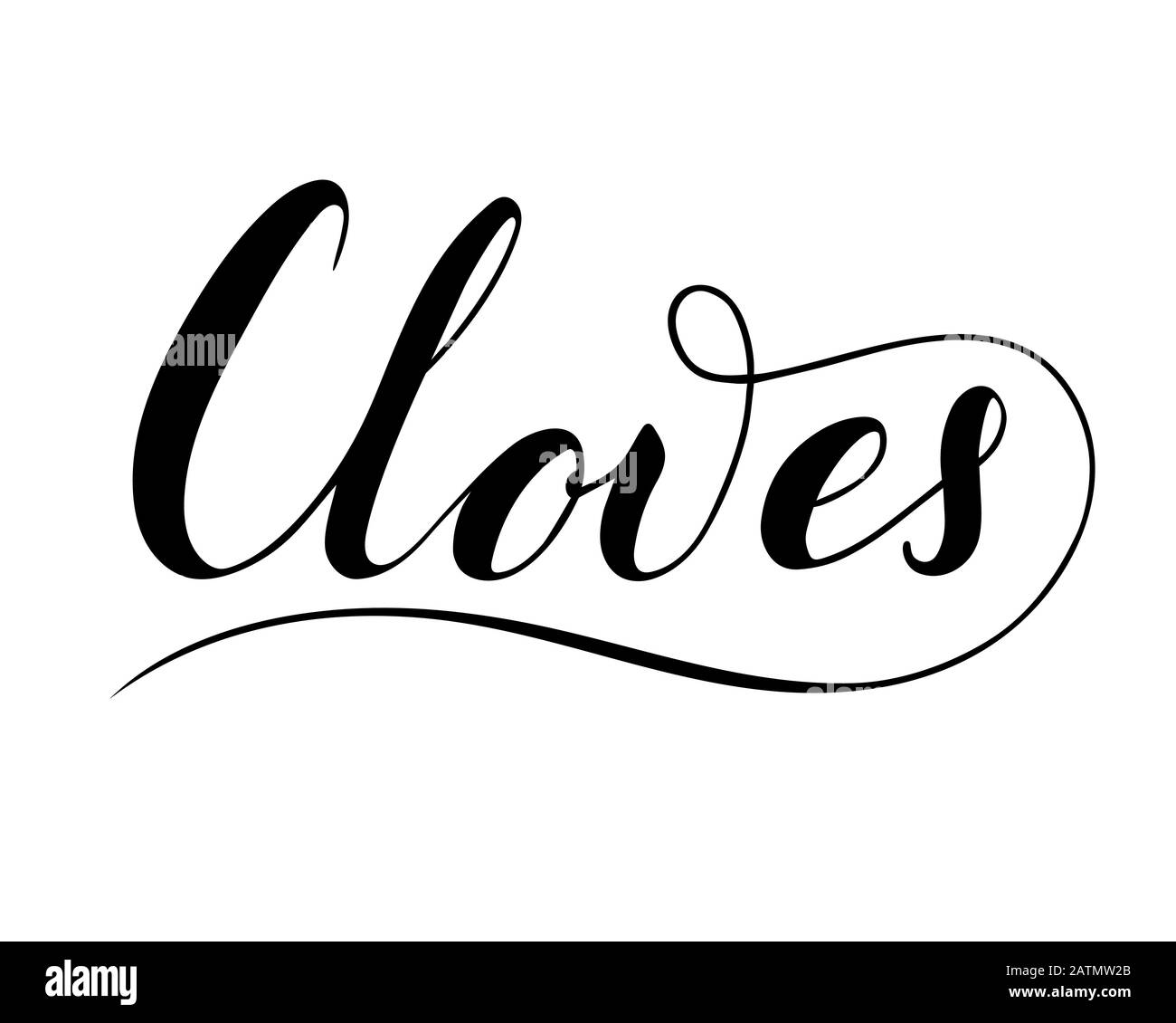 Vector hand written cloves text isolated on white background. Kitchen