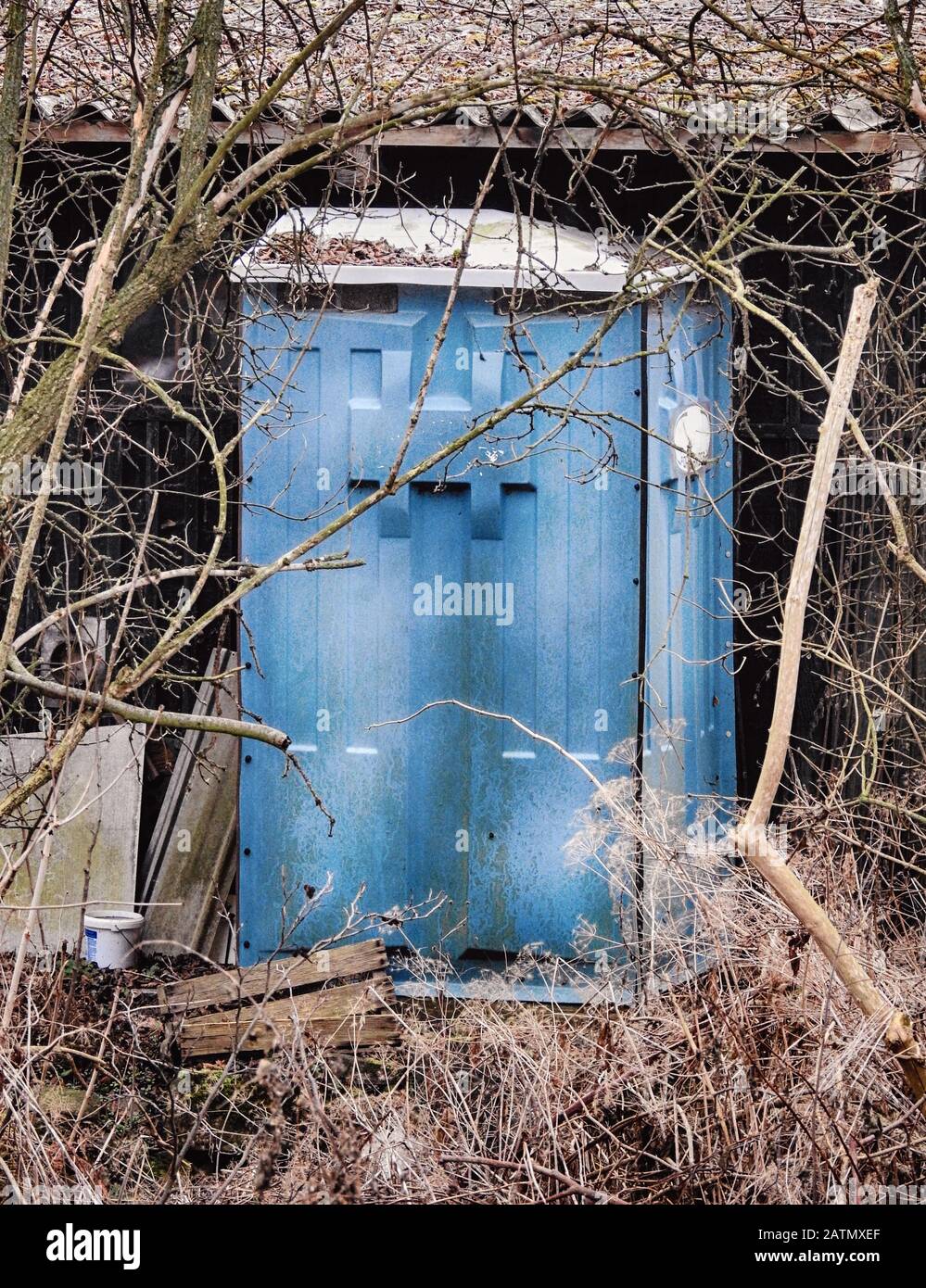 Old blue outhouse in the backyard of a garden Stock Photo - Alamy