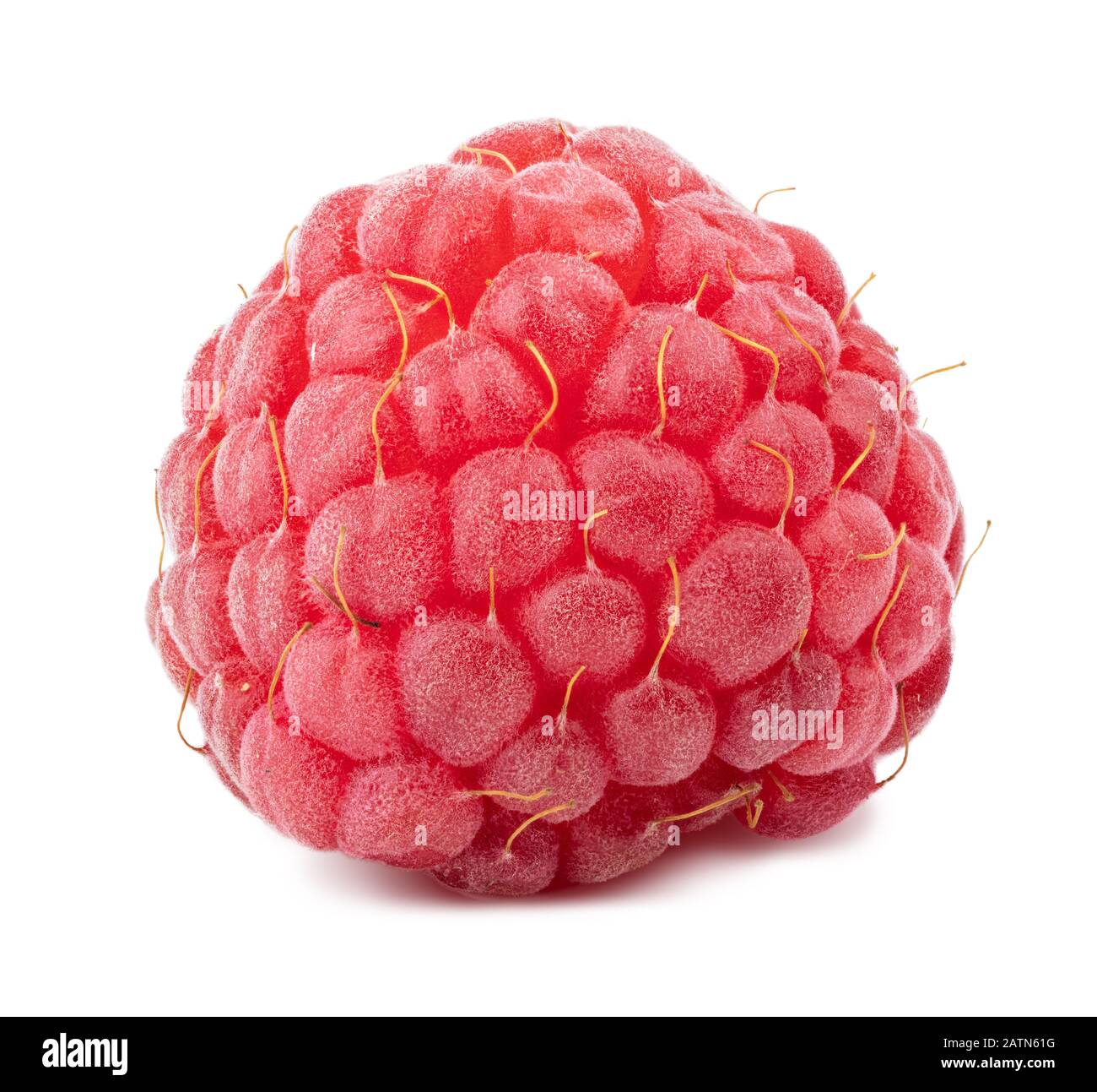 Fresh raspberry isolated on white background Stock Photo - Alamy