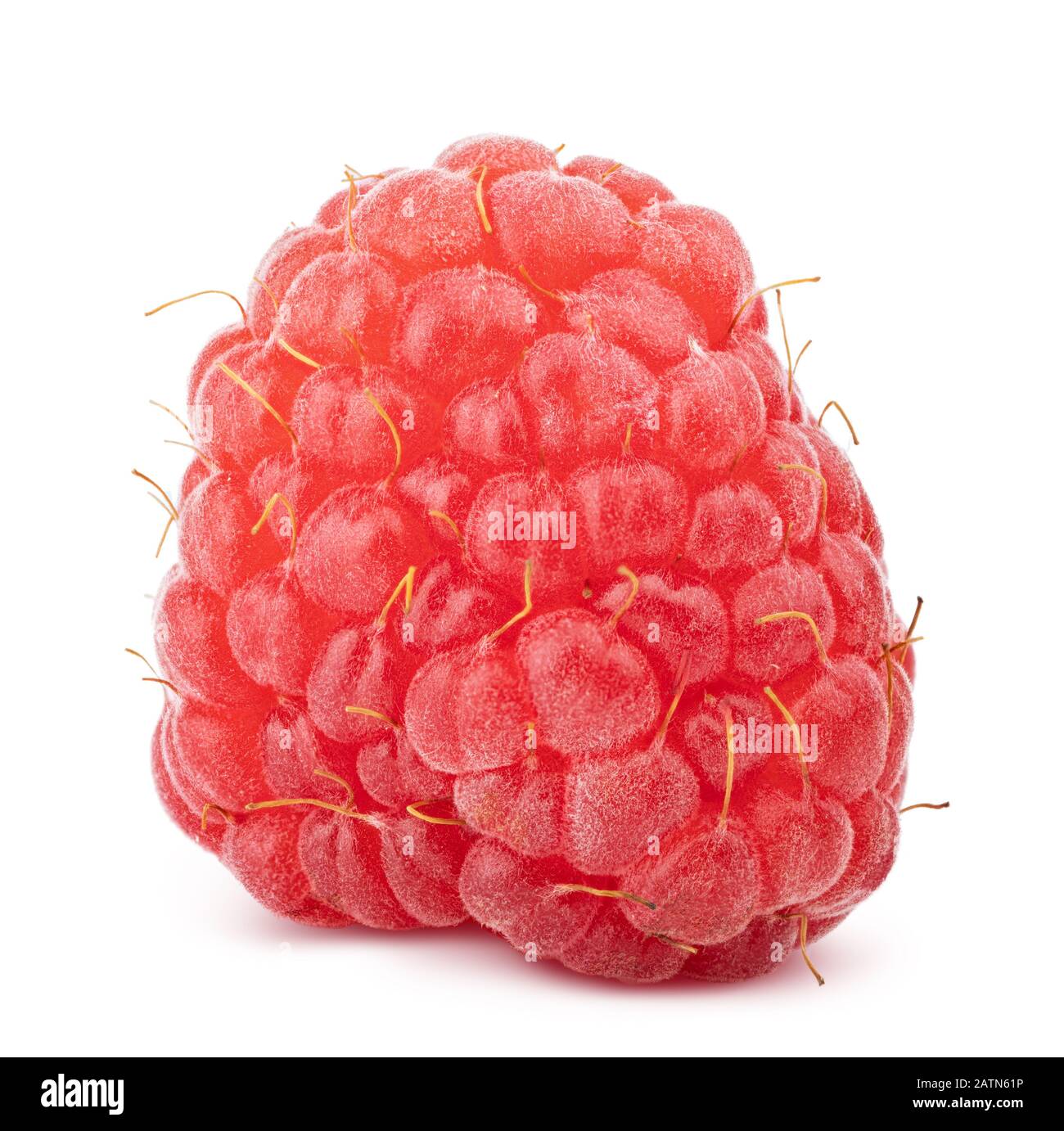 Fresh raspberry isolated on white background Stock Photo - Alamy